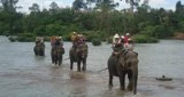 Central Highland Explore